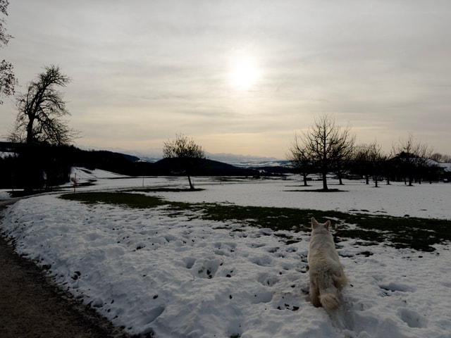 Zurich