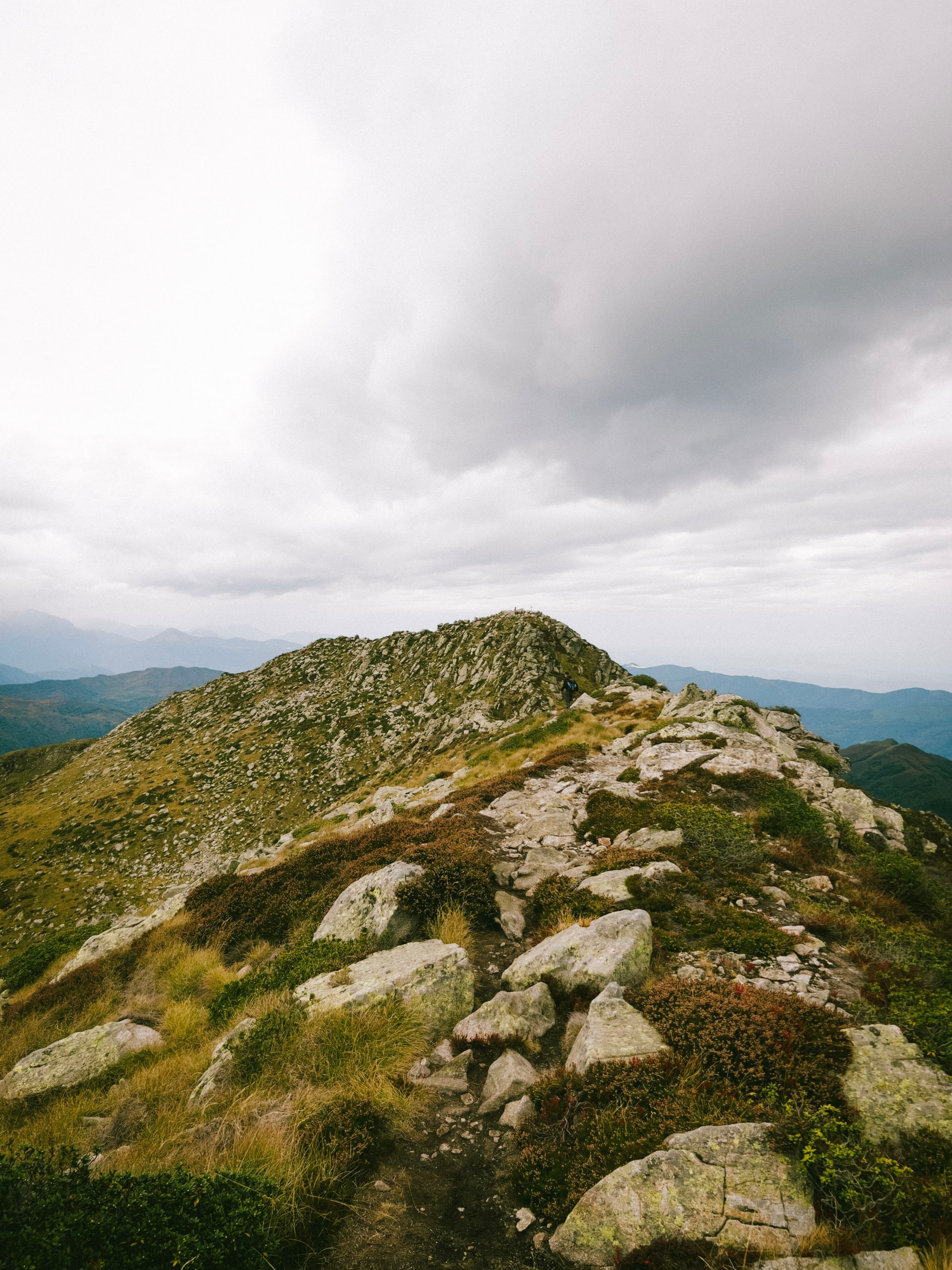 Pyrenees